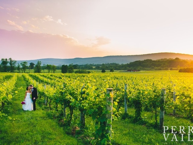 Brides Talk Why They Love Loudoun