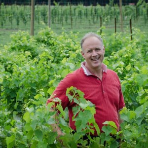 868 Estate Vineyards