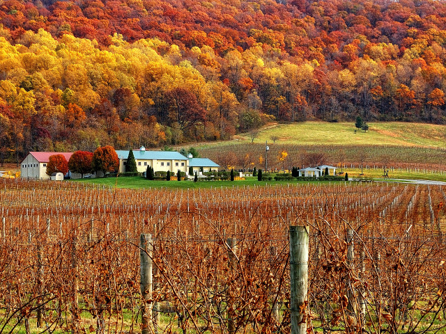 Celebrating the Fall Season in LoCo