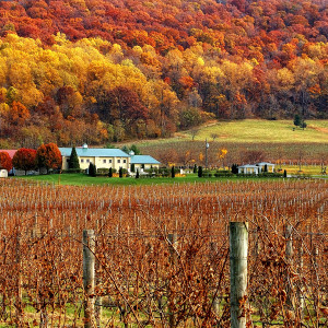 CREDIT Tom Lussier Breaux2VL