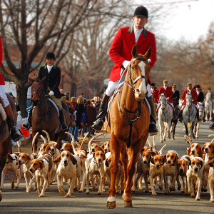 Christmas in Middleburg