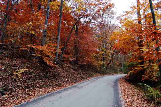 Champe Ford in autumn