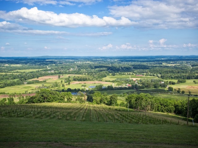 A Weekend With Loudoun Wine and Beer
