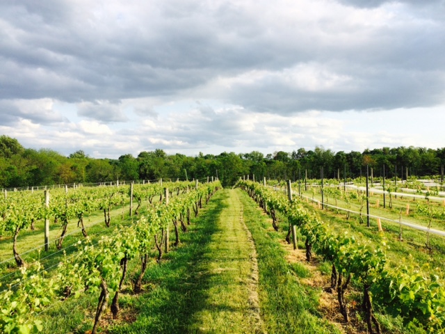 3 Spots to Sip with Winemakers in Loudoun