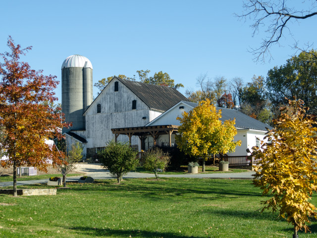 Loudoun’s Weekend Guide: October 2-4