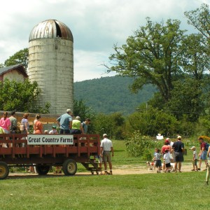 Great Country Farm Festival