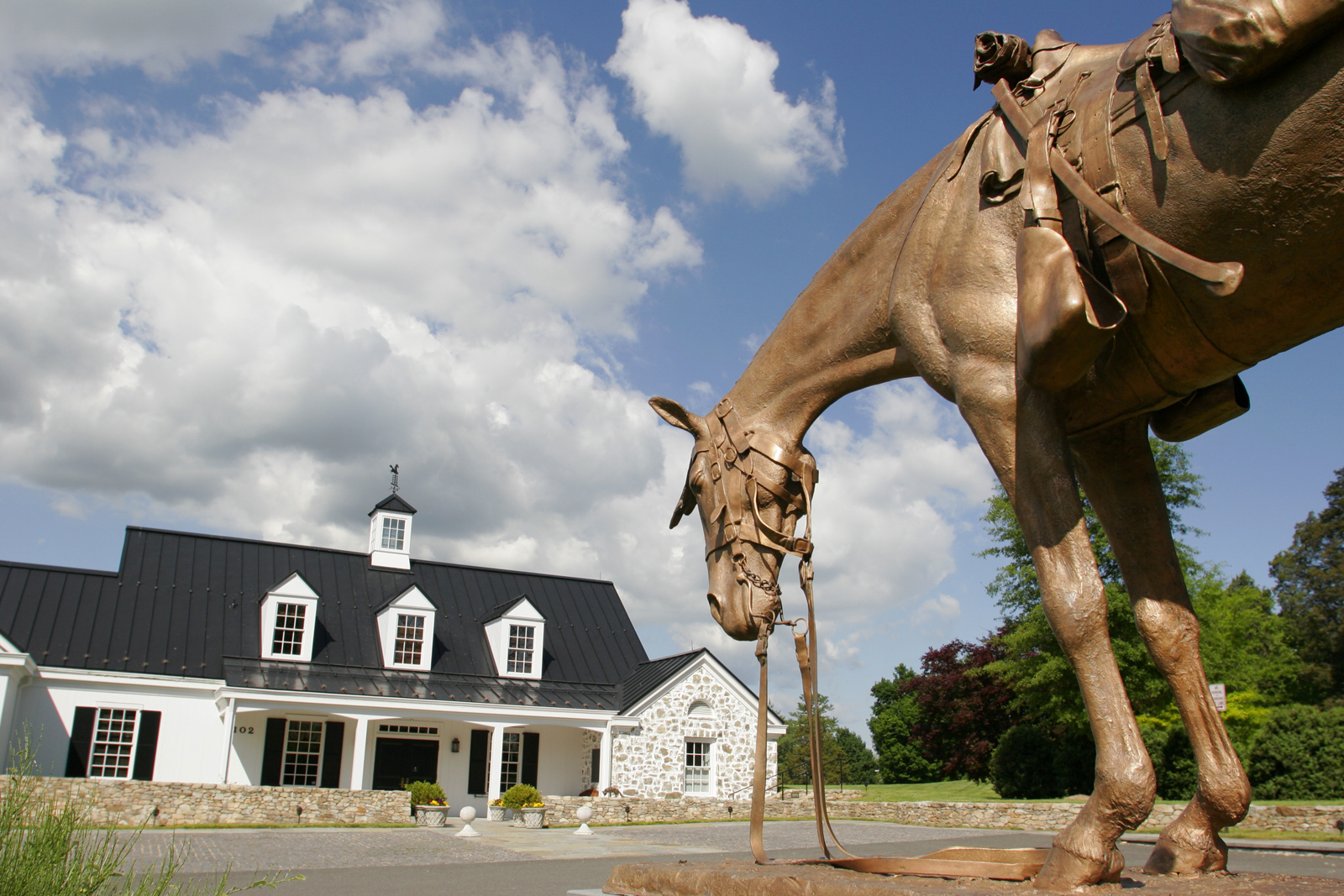 Virginia, Middleburg, National Horse and Hound Sporting Library, Civil War Horse and Mule Memorial, statue,