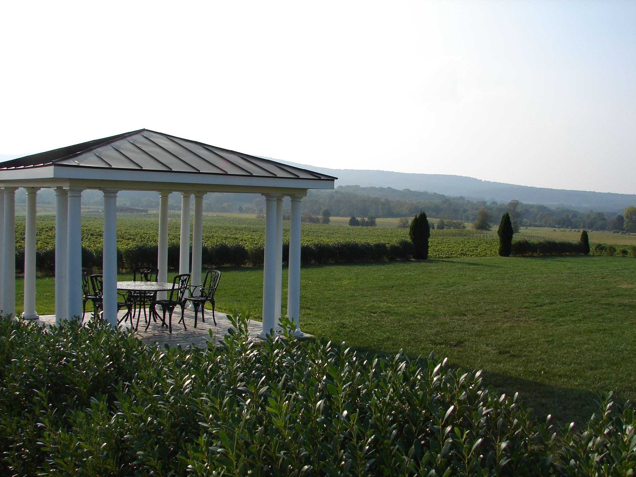 JH Breaux Vineyards 10