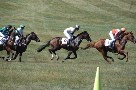 JH Glenwood Park Fall Races 6