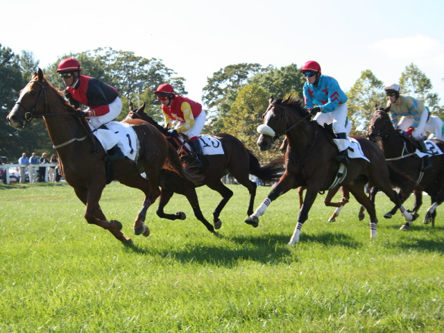 Loudoun’s Weekend Guide: April 24-26