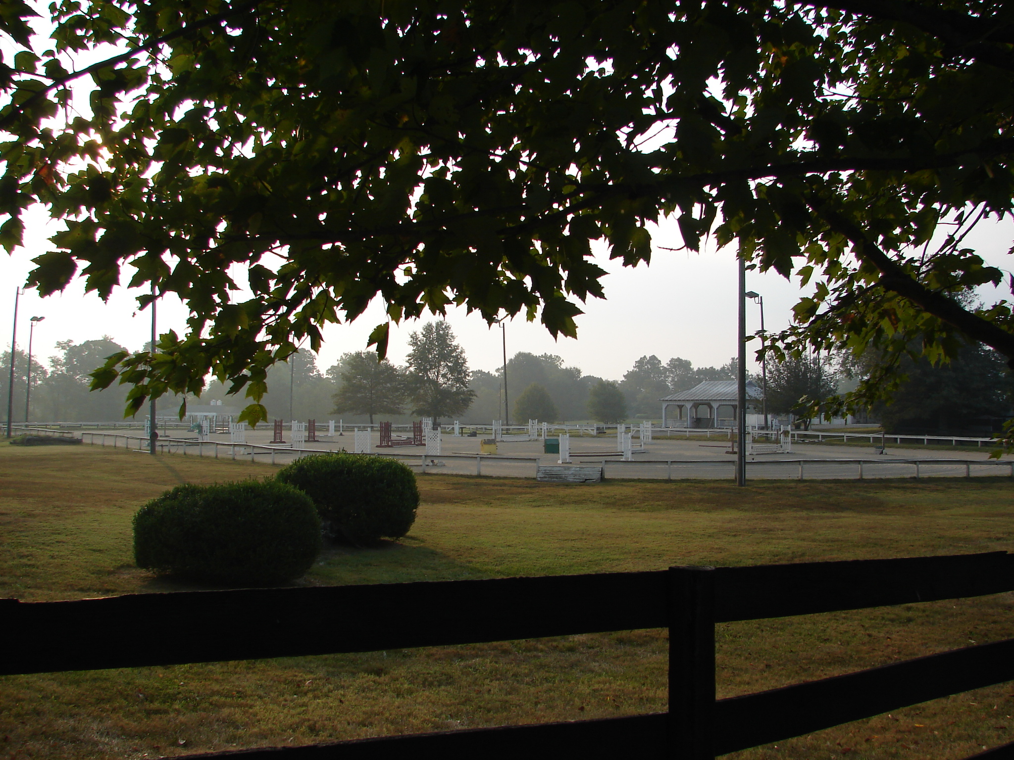 JJH DSC00598