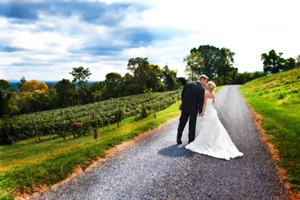 Wedding at Bluemont Vineyard