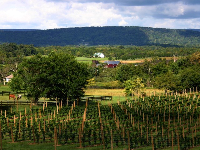 Loudoun’s Weekend Guide: September 25-27