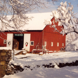 Willowcroft in Winter_small