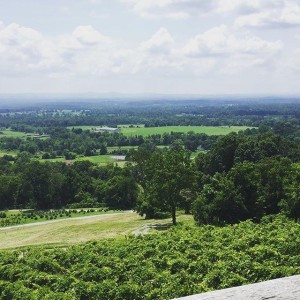 From @kimchi2027 at Bluemont Vineyards