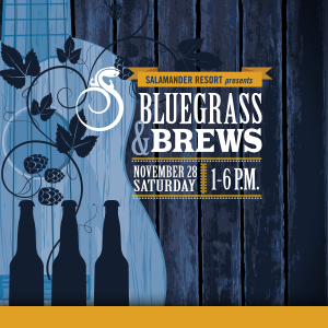 Bluegrass and Brews Festival