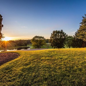 Greenhill Winery & Vineyards