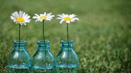 hidden brook spring fair