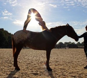 Yoga on Horseback 