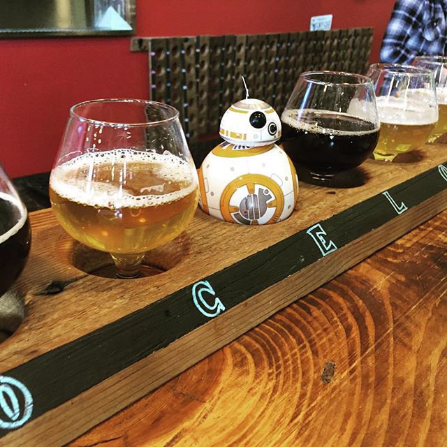 Ocelot Brewing Company