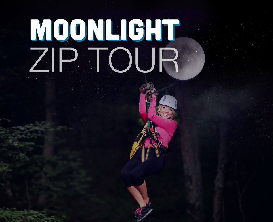 moonlight zip