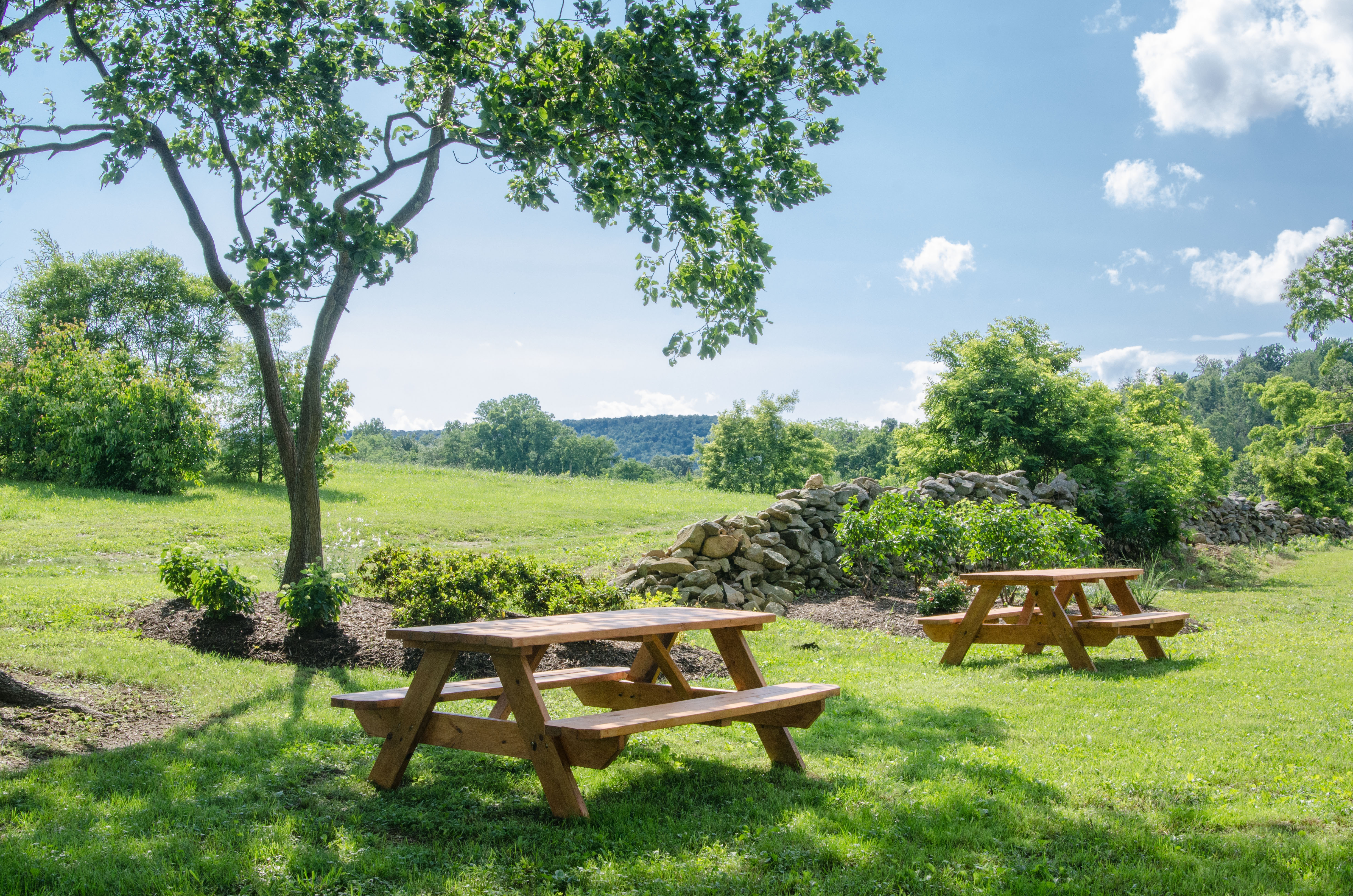 picnic grove at 868-9048
