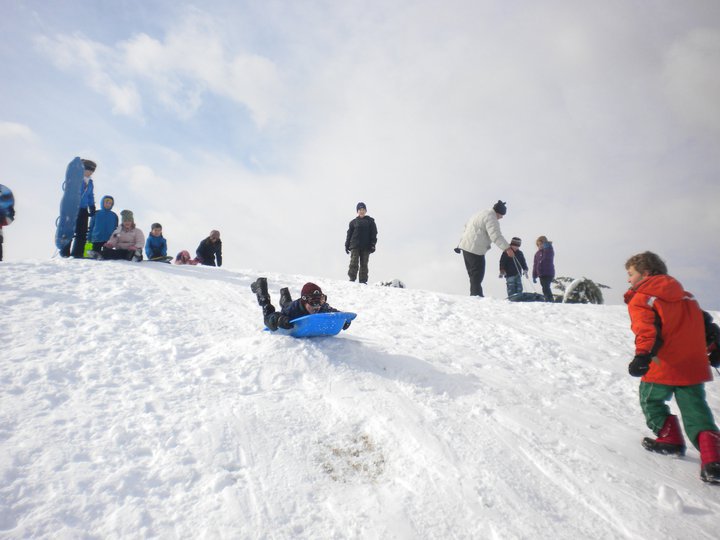 sledding-hill