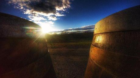 Sunset Hills Vineyard