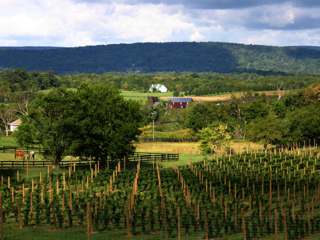 Loudoun’s Weekend Guide: March 13-15