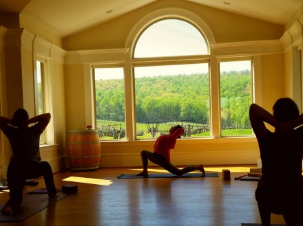 Loudoun Wine Country Yoga